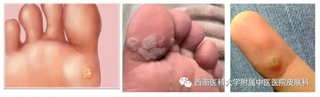 微信圖片_20231212110256.jpg