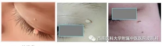 微信圖片_20231212110301.jpg