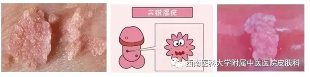 微信圖片_20231212110306.jpg