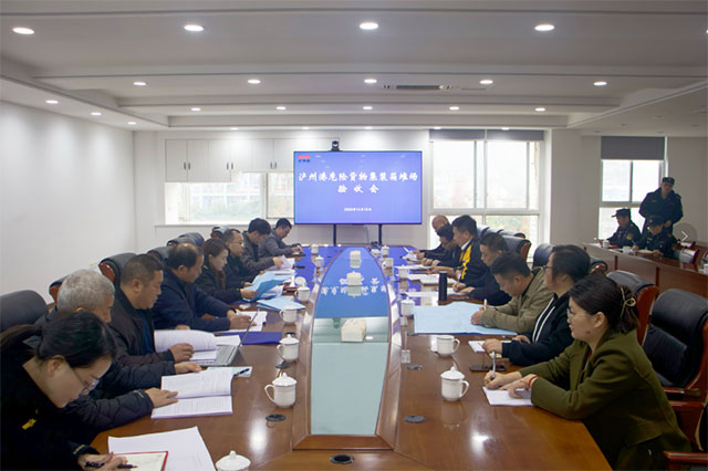 瀘州港第8類、第9類危險貨物集裝箱堆場項目順利通過驗收