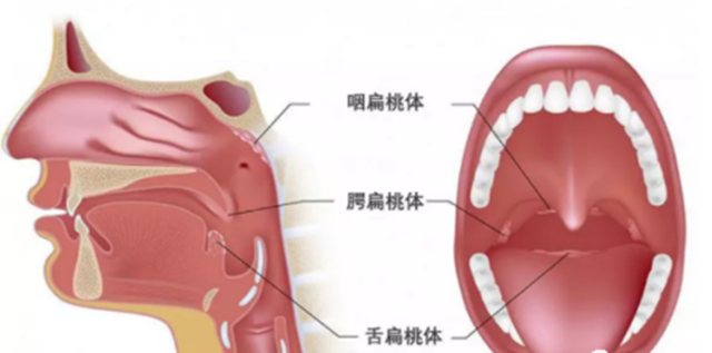 微信圖片_20231219095041.png