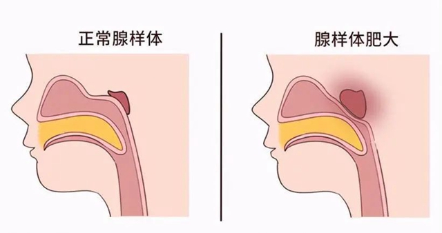 微信圖片_20231219095050.jpg