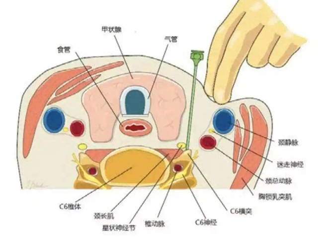 微信圖片_20231220103821.jpg