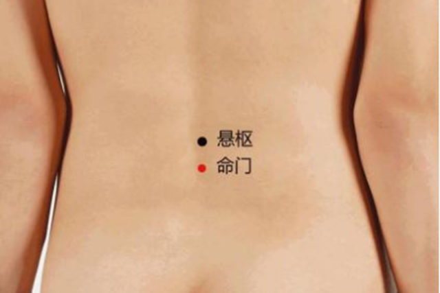 微信圖片_20231222095546.png