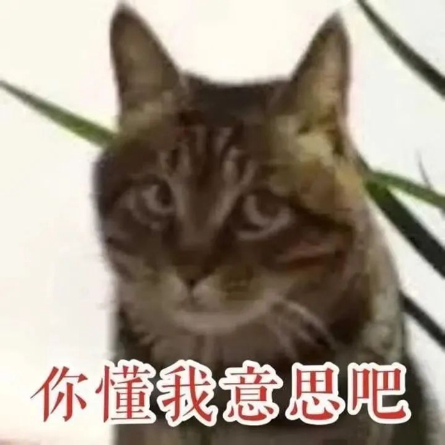 【健康科普】冬至，這些“養(yǎng)生秘籍”請收藏→