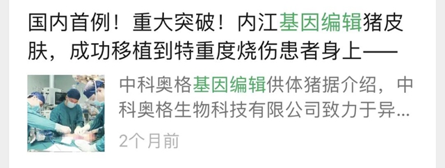 受體猴已存活9天！四川省首例基因編輯豬-猴異種心臟移植手術(shù)效果超預(yù)期
