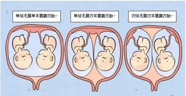 微信圖片_20231226100744.jpg