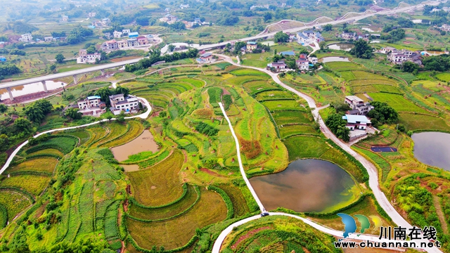 高標(biāo)準(zhǔn)農(nóng)田項(xiàng)目.jpg