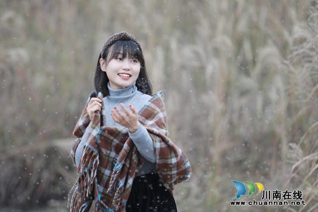 瀘縣：“芭茅”深處尋“芳華”