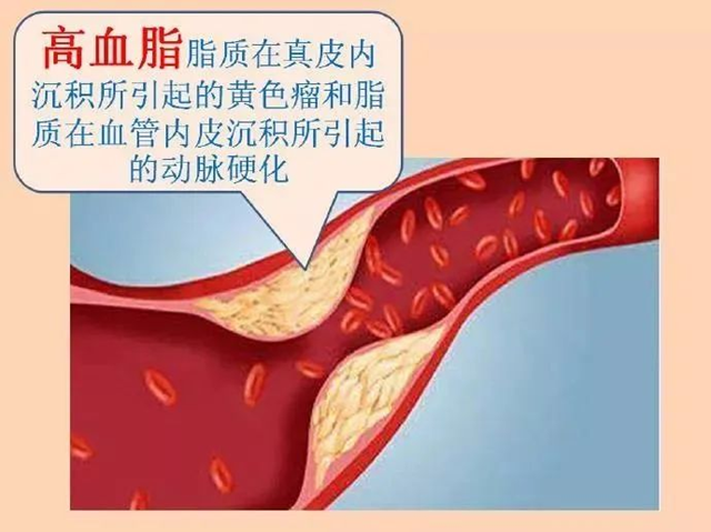 微信圖片_20240116090404.png