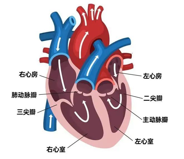 微信圖片_20240116093628.jpg