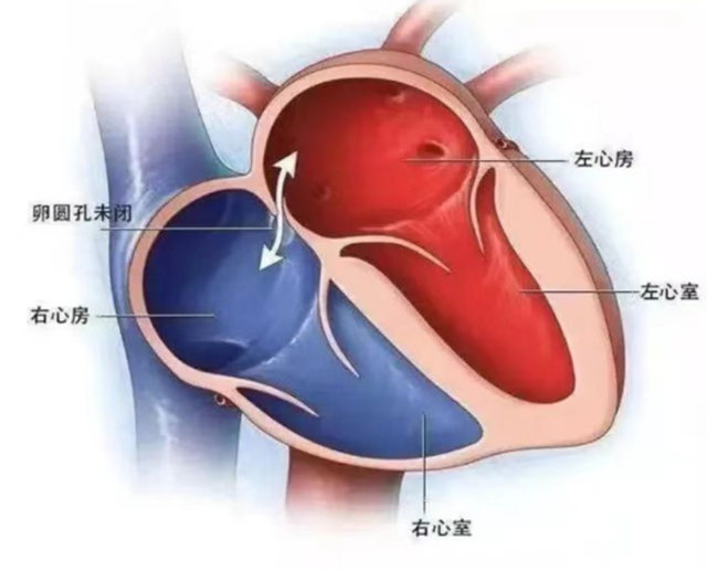 微信圖片_20240118091201.png