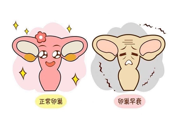 微信圖片_20240118094724.png