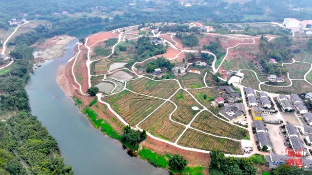 后3.jpg