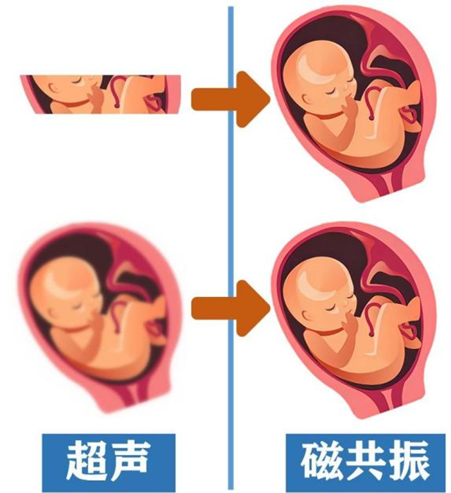 微信圖片_20240131093001.png