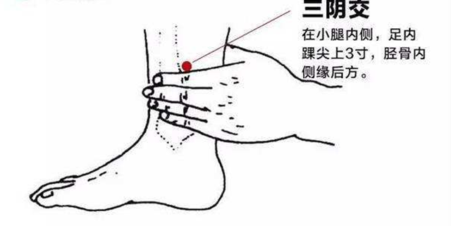微信圖片_20240201095103.png