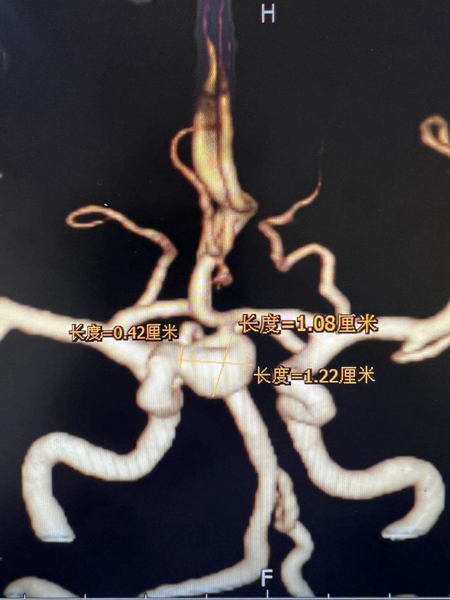 微信圖片_20240202094836.jpg