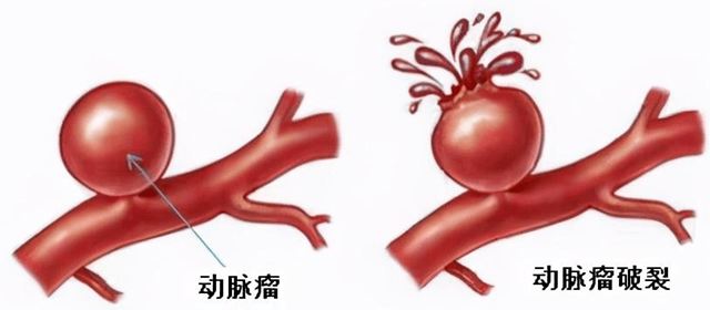 微信圖片_20240202094856.png