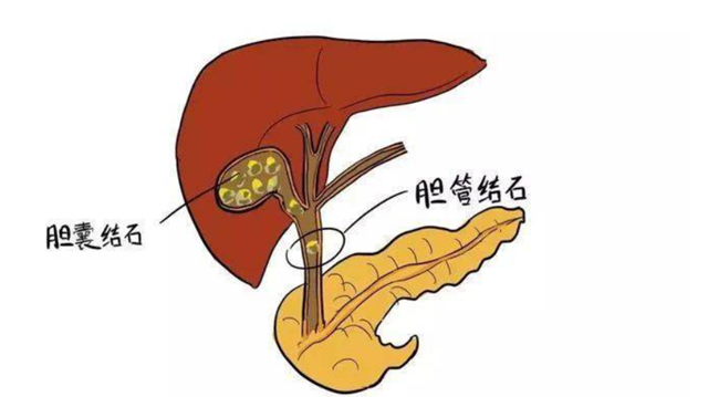 微信圖片_20240204100519.png