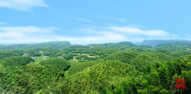 納溪：“以竹代塑” 撬動綠色大產(chǎn)業(yè)