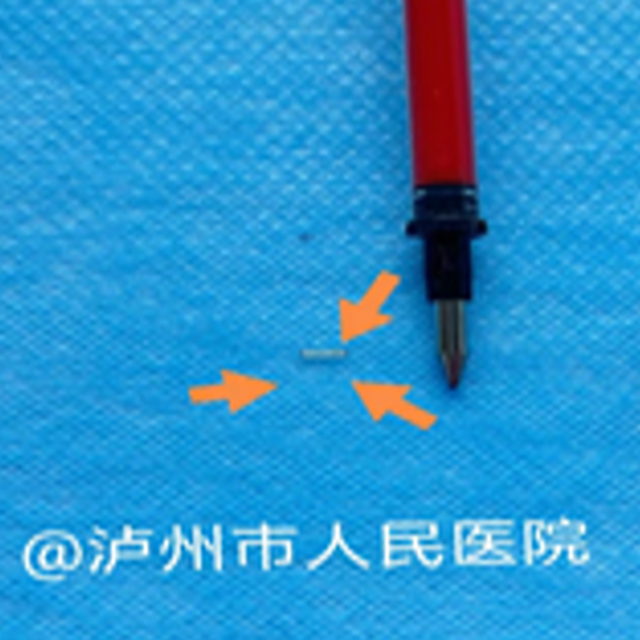 微信圖片_20240205091524.png