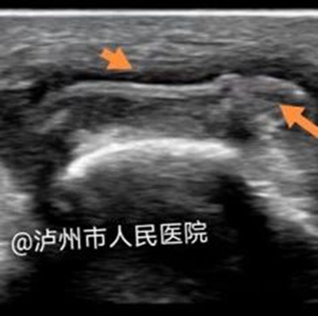 微信圖片_20240205091547.jpg