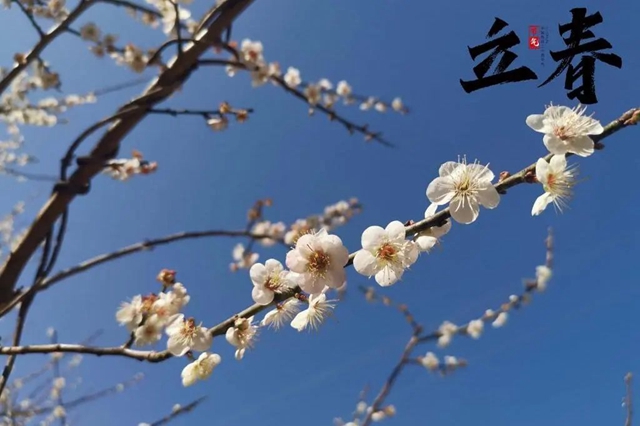 微信圖片_20240205102931.jpg