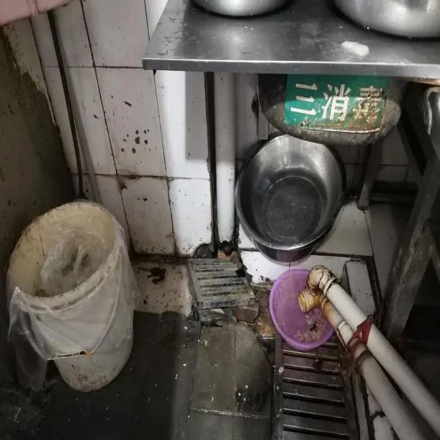 微信圖片_20240208092654.jpg