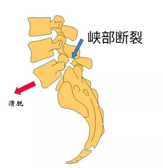 微信圖片_20240208102857.png