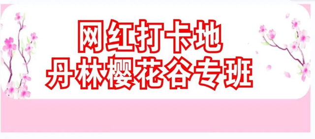 專2.jpg