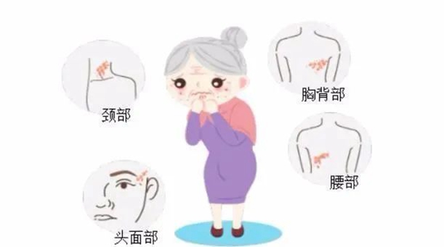 微信圖片_20240209092834.jpg