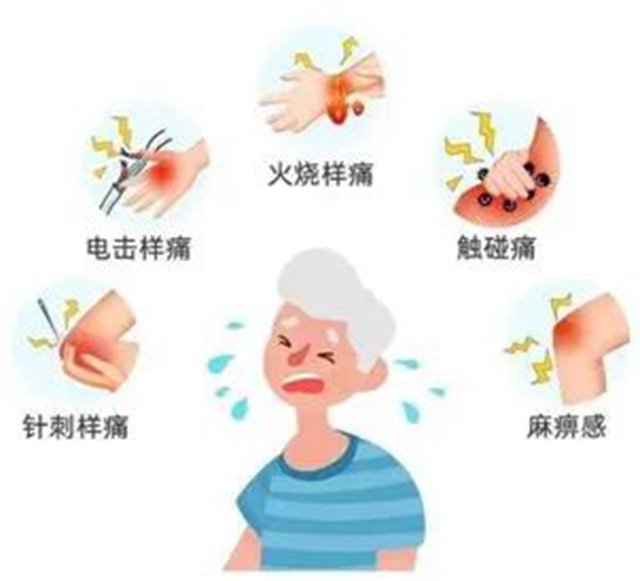 微信圖片_20240209092843.jpg