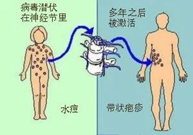 微信圖片_20240209092915.jpg