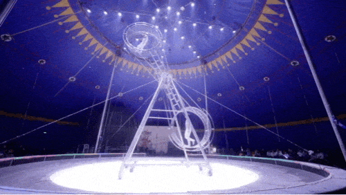 2.gif