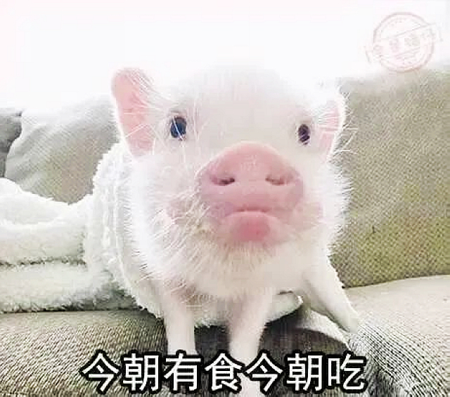 【圍觀】春節(jié)，你可以這樣“胡吃海喝”