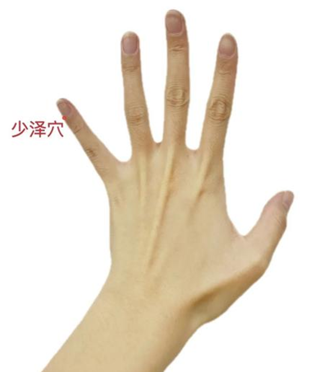 微信圖片_20240222105653.png