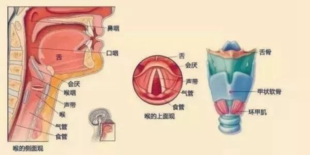 微信圖片_20240227090249.jpg
