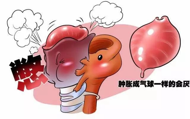 微信圖片_20240227090305.jpg