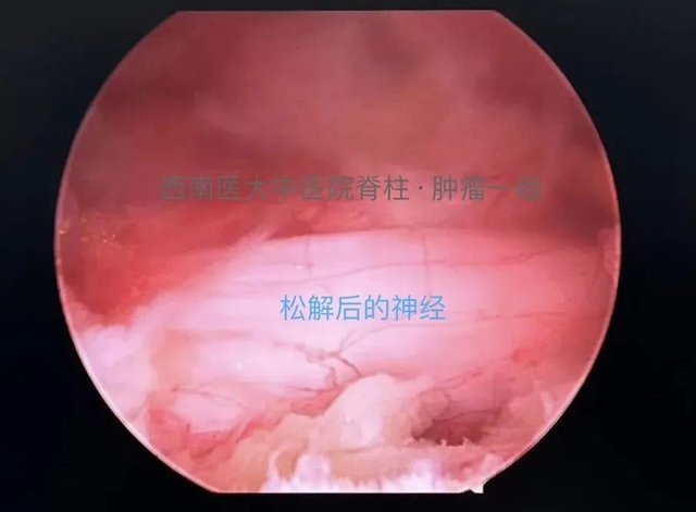 微信圖片_20240229092424.jpg