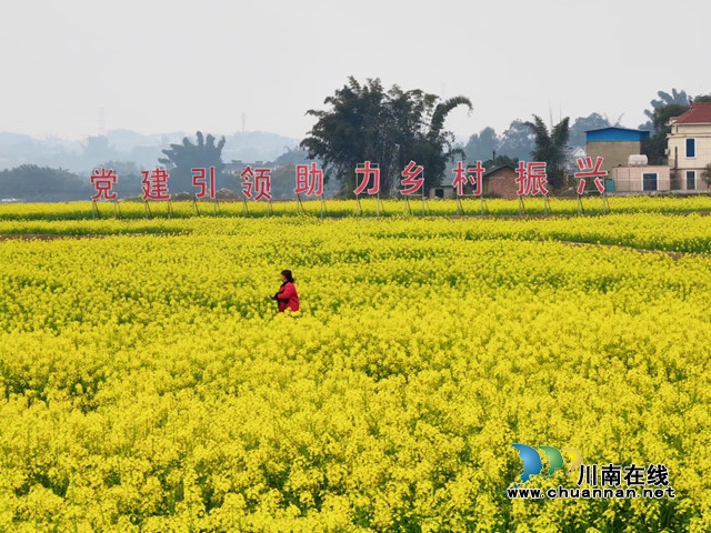 花開(kāi)海潮 幸福如潮｜3月8日至10日，瀘縣海潮鎮(zhèn)邀請(qǐng)你參加“花田喜事花神節(jié)”活動(dòng)