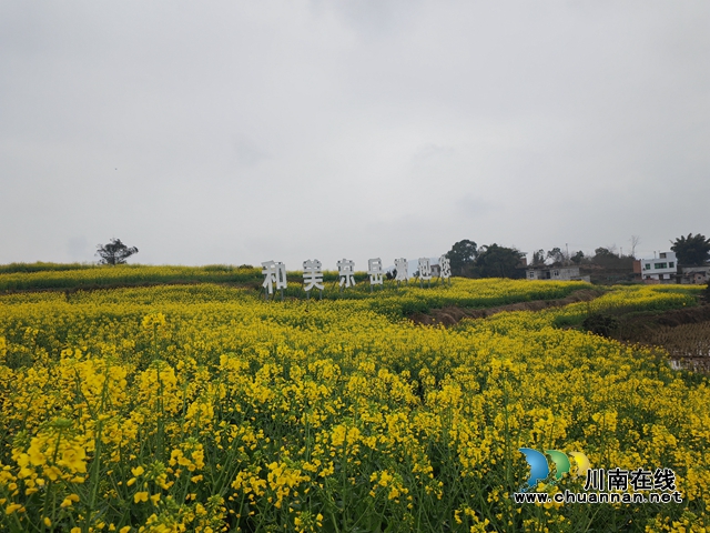 和美東岳歡迎你（曾佐然攝）.jpg