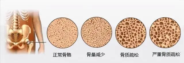 微信圖片_20240307091200.jpg