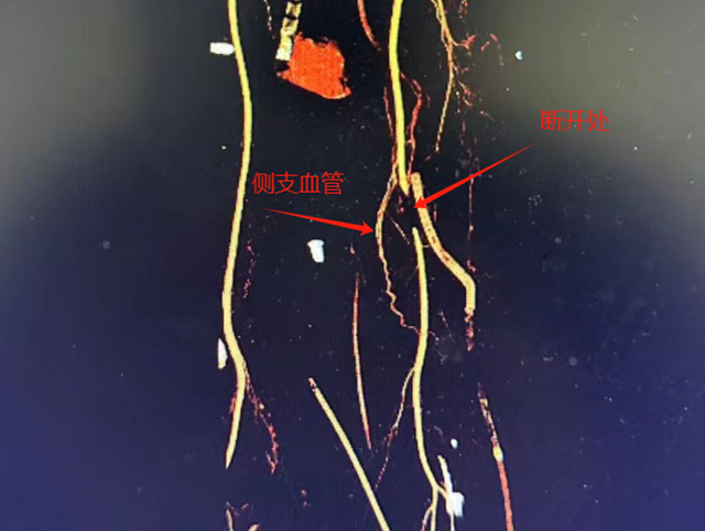 微信圖片_20240307085930.png