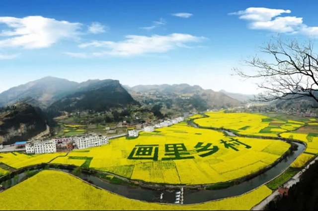 雙2.jpg