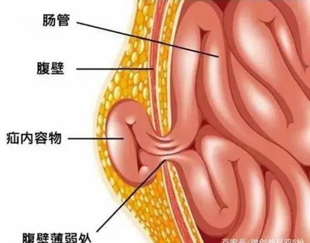 微信圖片_20240308092950.jpg