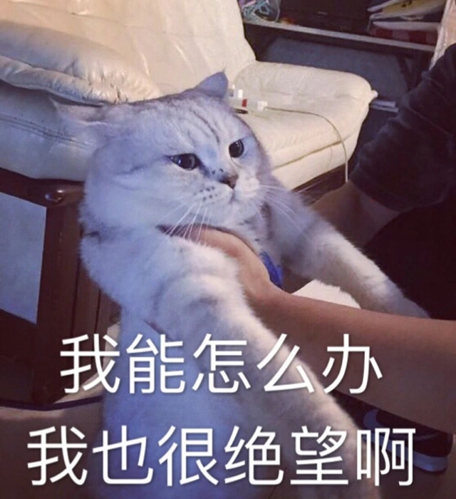 微信圖片_20240308094445.jpg