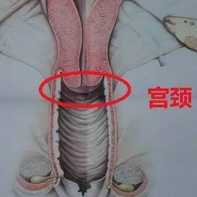 微信圖片_20240308094431.jpg