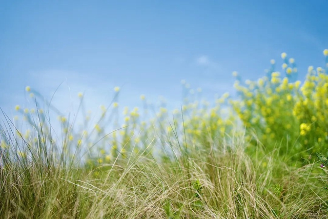 “感冒”后一直咳咳咳咳？中藥防治處方大公開！