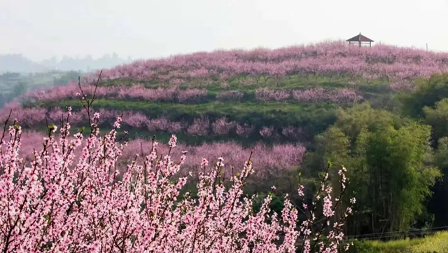 【圍觀】直沖27℃！瀘州的春天來(lái)了......