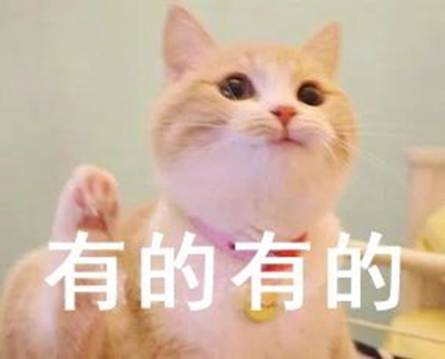 微信圖片_20240320085642.jpg